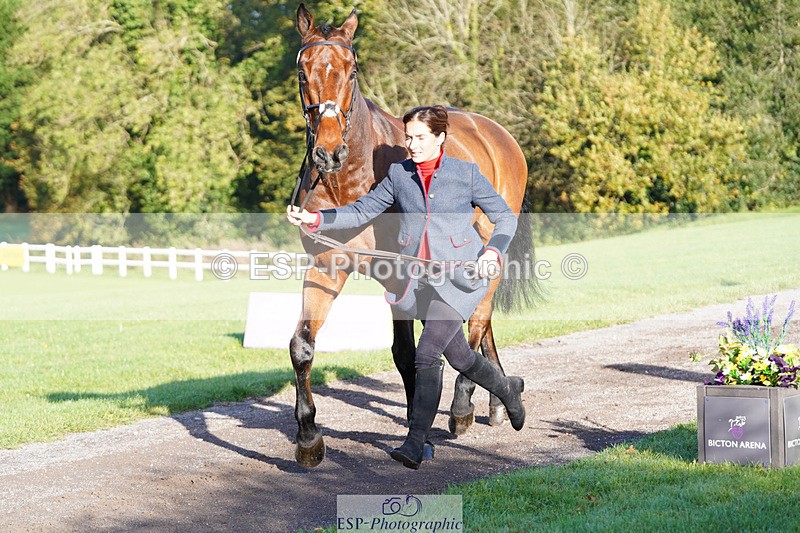 241026-101334-11698 - 053-Lois.Teal-Z7.CATASTROPHE