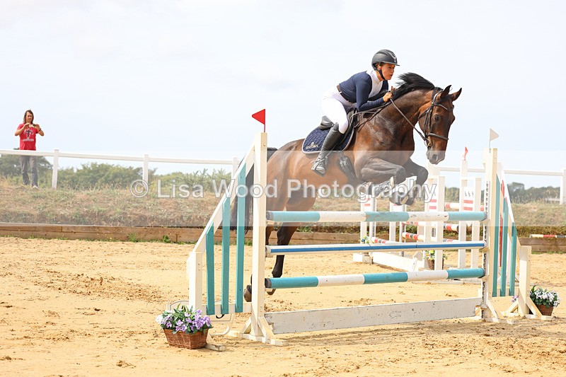 3E7A4372 - Class 8: Senior Foxhunter/1.20 open