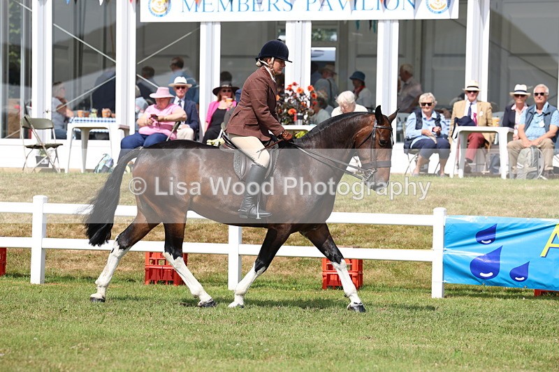 3E7A9957 - Class 5: Rising Star Lightweight/Heavyweight Cobs