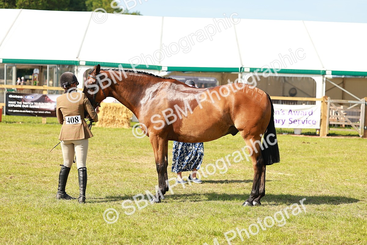 SBM_12062 - Class 66-69 - RIHS Ridden Hunters Inc Small Hunter