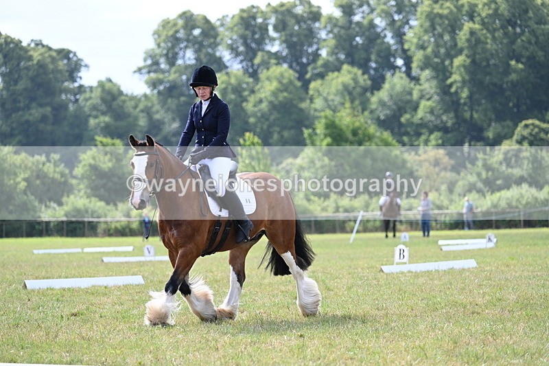 WJ7_1841 - Time 09:00 to 09:22