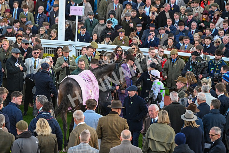 130326-Race 5-Gaelic Warrior-2894 - 13th March