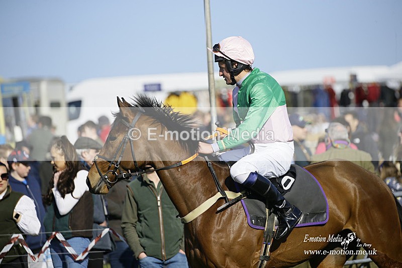 PtP 190322 671 - Wilton Hunt PtP Milborne St Andrew 19/03/22