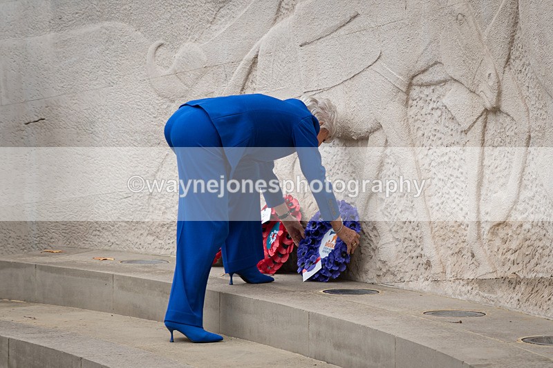 Z62_4598 - Animals In War Memorial 2025 - Park Lane, London