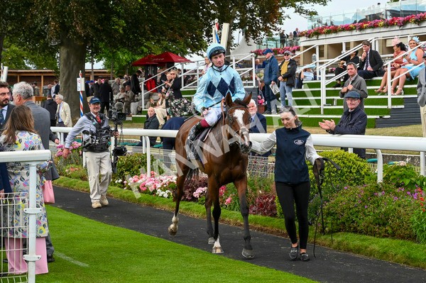 220824-Race 5-Scenic-7314 - Race 5 4.10pm British EBF & Sir Henry Cecil Galtres Stakes
