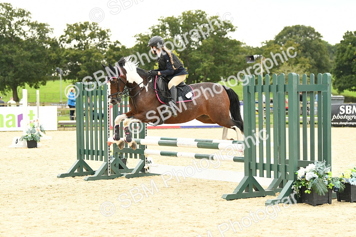 SBM_73279 - J16 - Junior Pony 75cm Championship