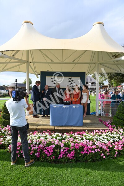 yr04092022r6-67 - Race 6 4.40pm Hanson Springs Stakes