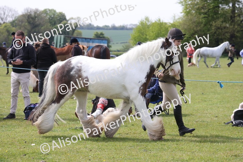 20260426-3342 - Class 27 - Coloured Horses and Ponies