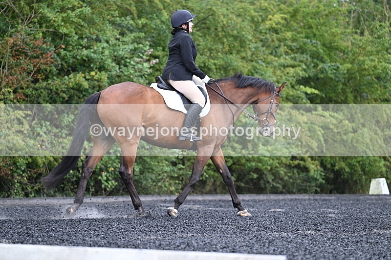 WJ7_4695 - Time 09:00 to 09:23