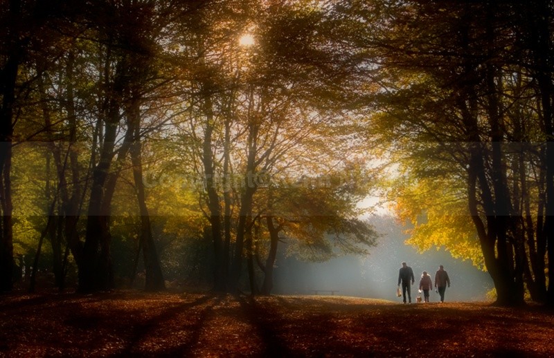 Sherwood Walk - 2005