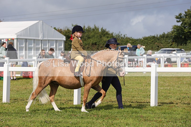 1X9A3548 - Class 29: Lead Rein SP/SHP