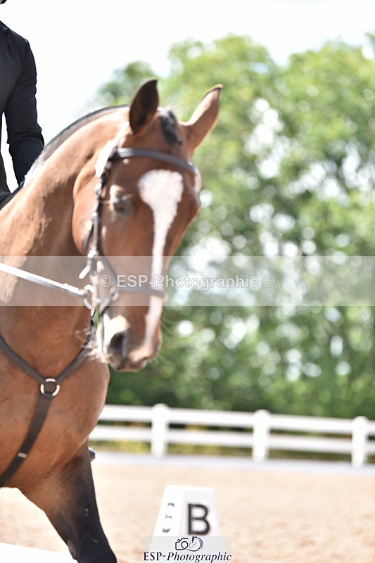 240706A-162340-04147 - Cls 5 Jnr Elementary