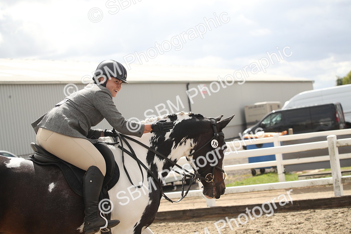 SBM_15239 - Class 506a - Working Veteran - 50cm (15-19)