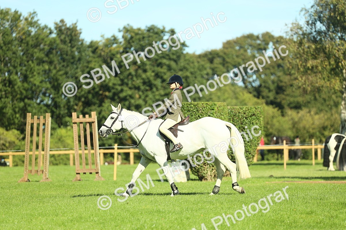SBM_39143 - S29 - Novice & Newcomers Working Hunter Pony