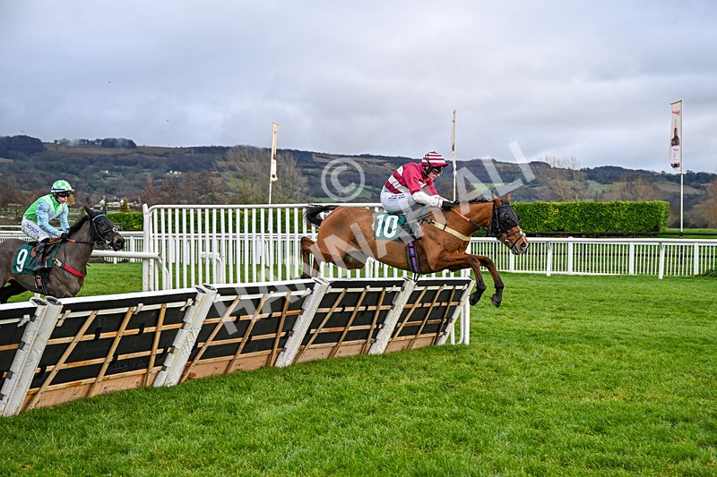 121225-Race 3-Moutarde-4996 - Race 3
