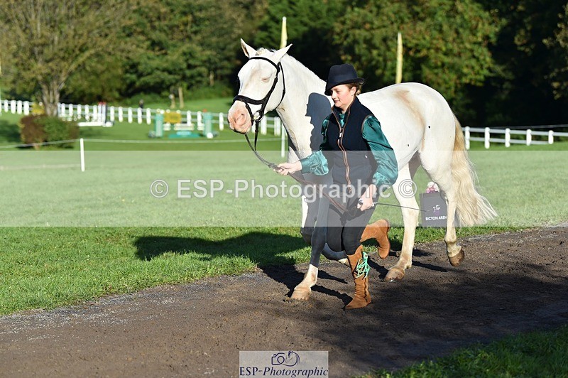 231022-095604-22123 - 480-REDPARK.SAMMEY-Eliza.Peters-TrotUp+SJ