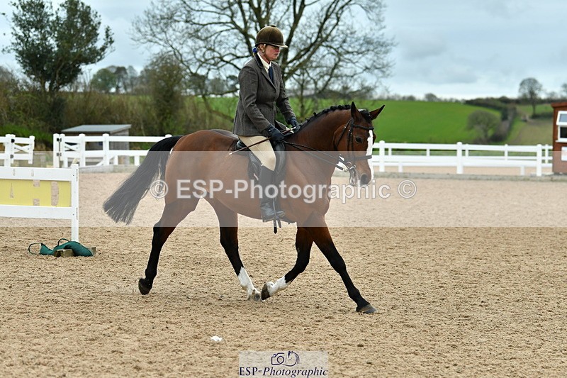 230416A-143038-05245 - Cls 74 Warmblood