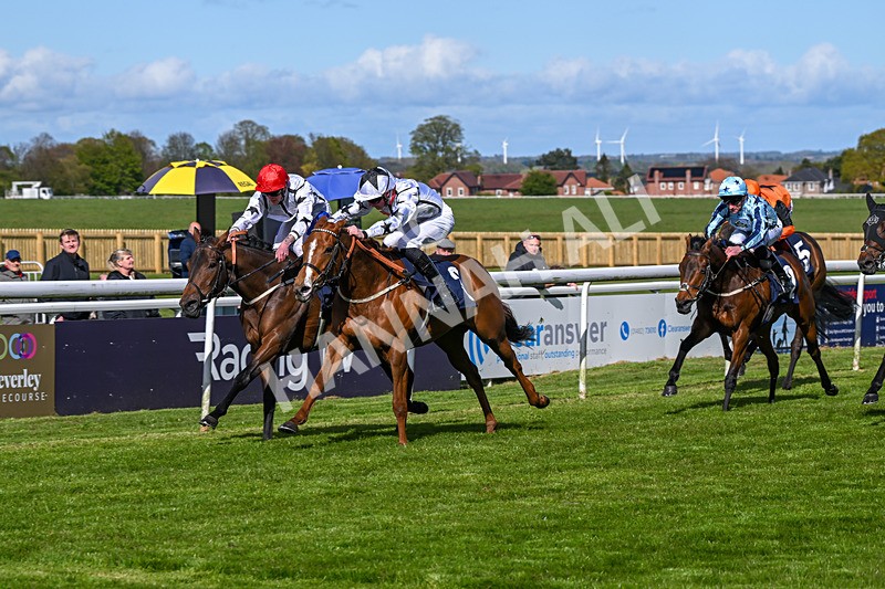 250424-Race 4-Classy Boy-1312 - Race 4