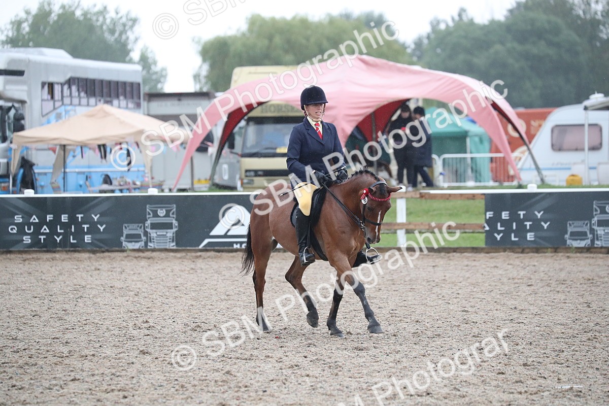 SBM_20472 - Class 601 - 2025 Area - Ridden Diamond