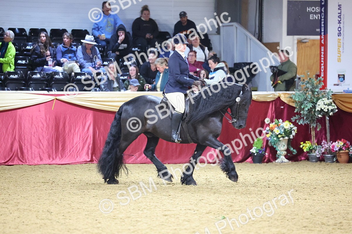 SBM_19274 - Class K Equitation Champ