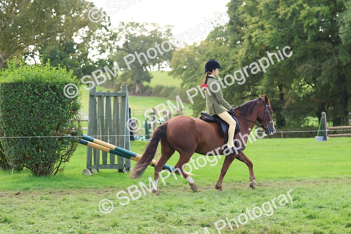 SBM_47615 - S28 - Veteran Ridden