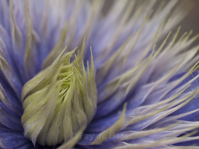  - Nature's Wonders