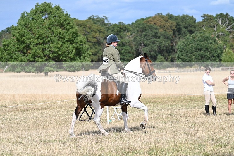 WJ7_7428 - Class 14 Ridden Coloured