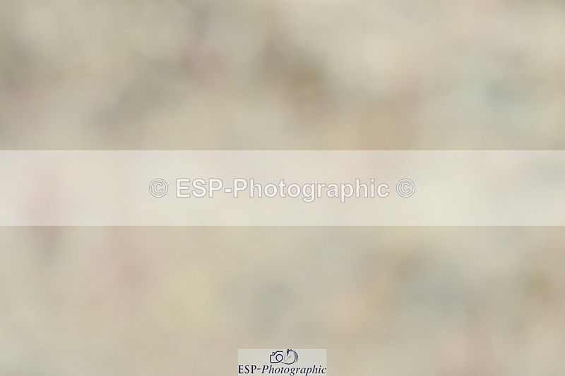 230630A-122005-01842 - Cls 7 Elementary 45