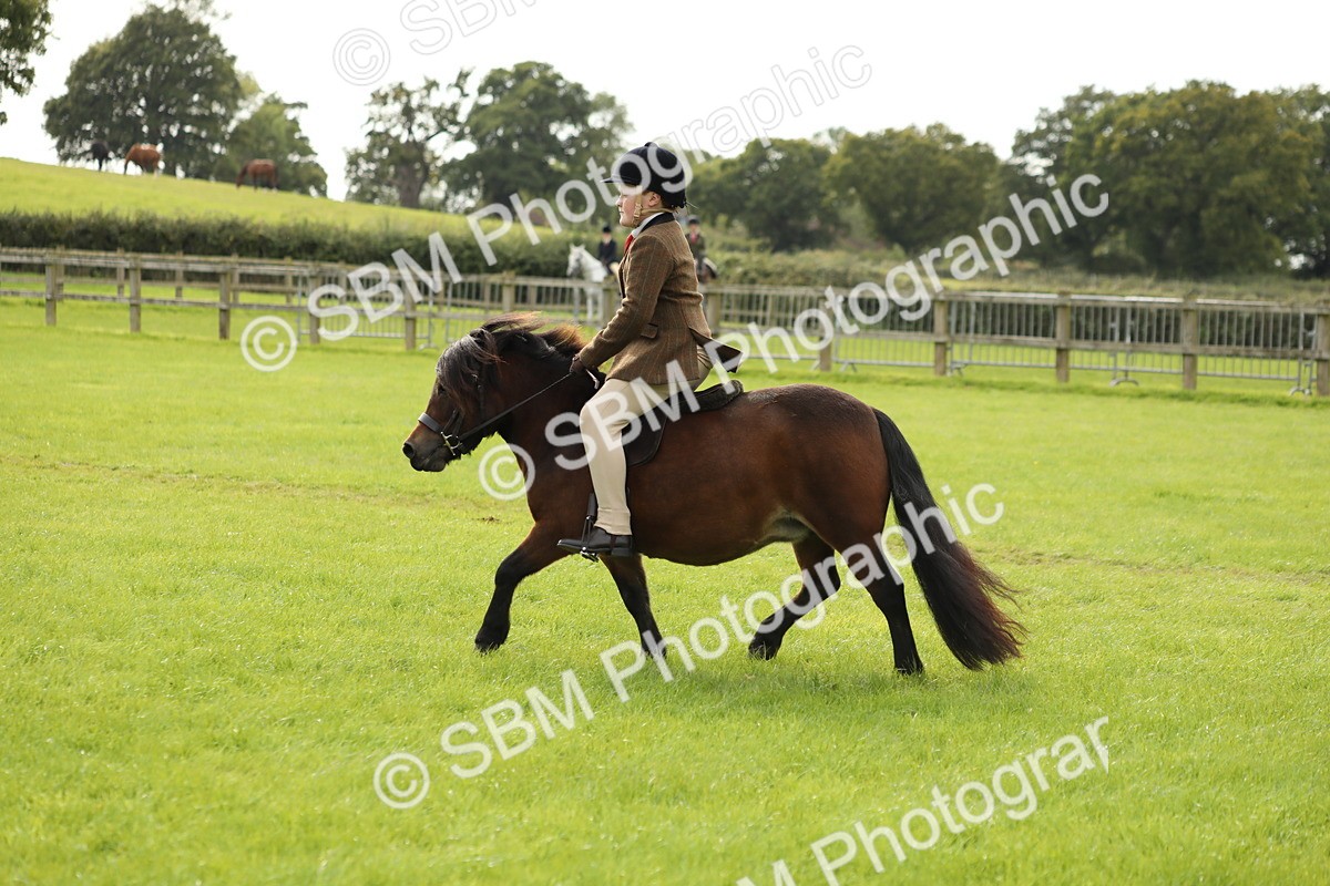 SBM_71517 - S41 - Ridden Equitation (Best Rider)