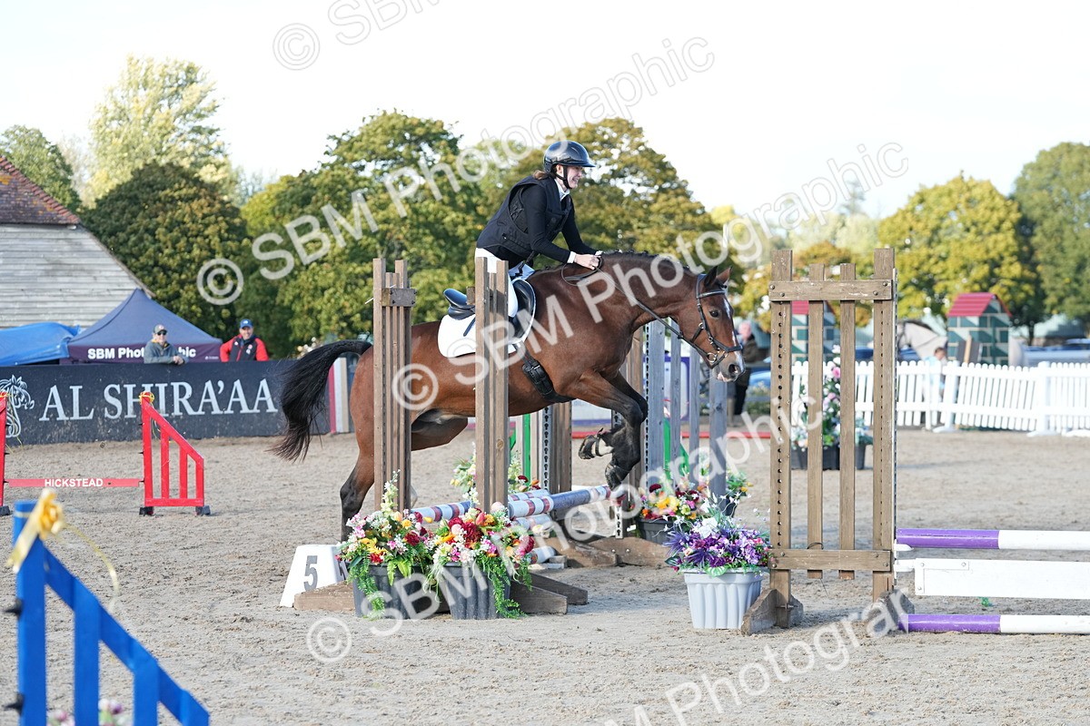 SBM_29004 - J43 - Horse & Hound Open 50cm