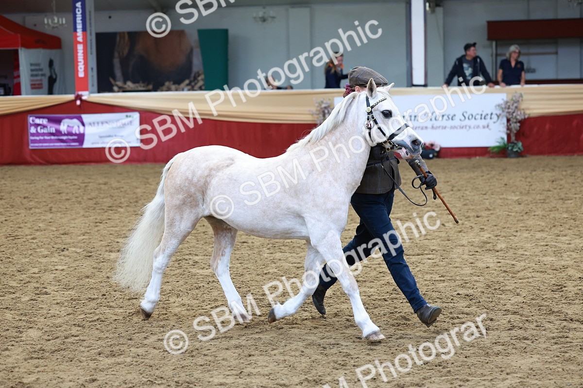 SBM_17391 - Class 951 - M&M IH Supreme Final