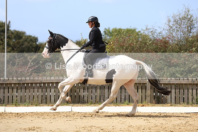 3E7A4103 - Class 9: Novice 6 Section B Championship