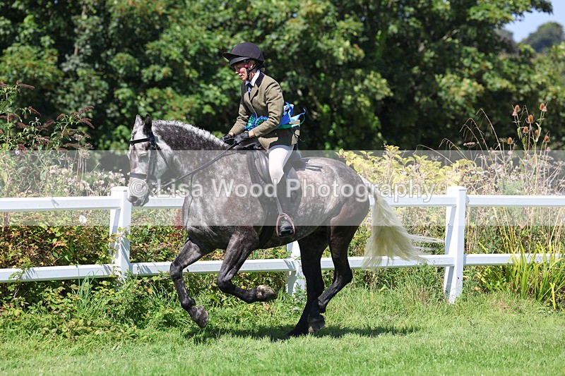 3E7A9243 - Working Hunter Championship