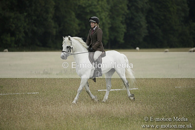 B230619-0348 - Bourne Valley Riding Club Summer Show 23/06/19
