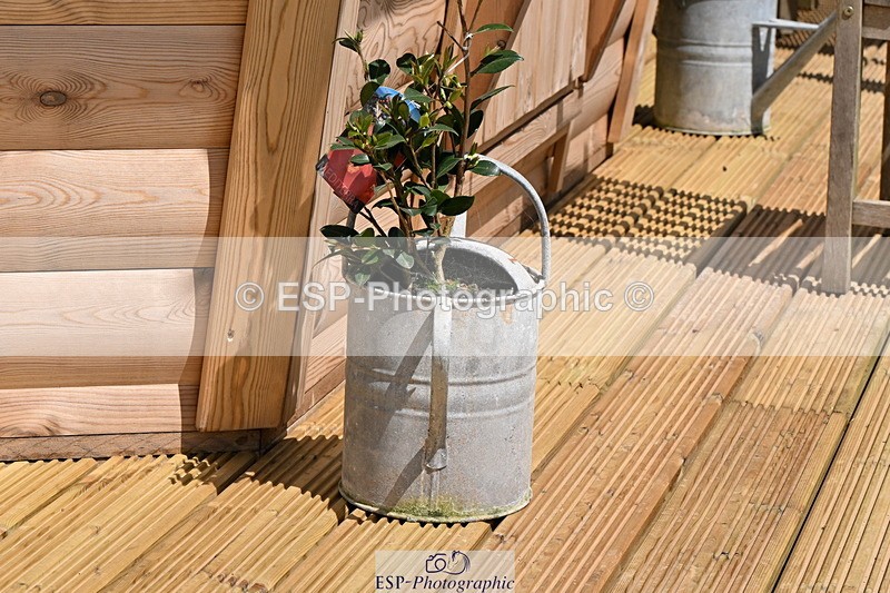 240608A-140425-02703 - Cls 4 Snr Newcomers and 1.10m Open