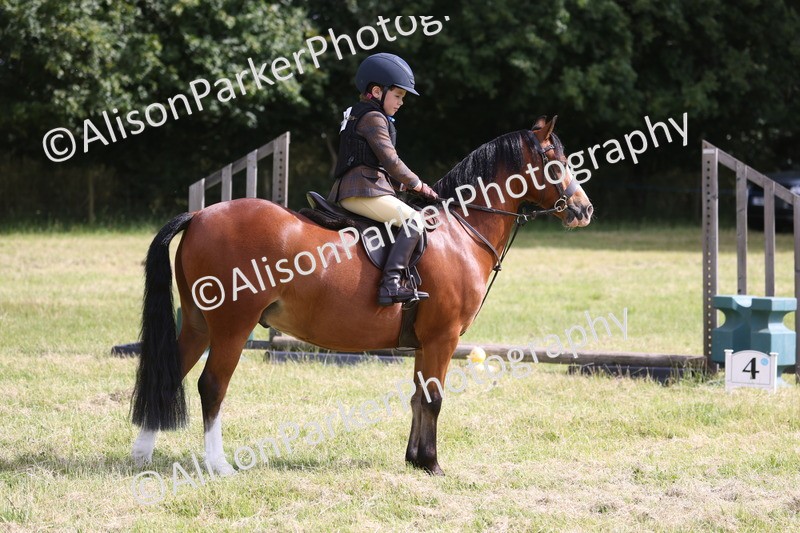 20260614-0489 - Class 20 - Beginners Working Hunter Pony
