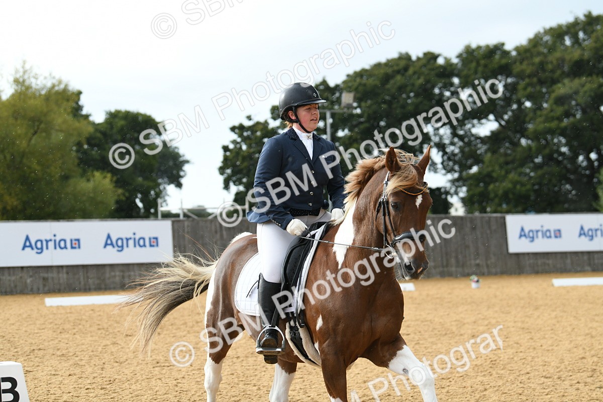 SBM_11086 - D28 Elementary Taster Elementary 42