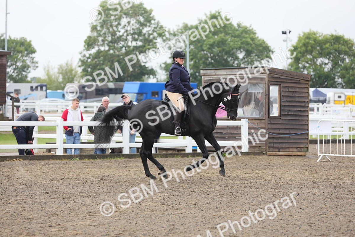 SBM_21313 - Class 805 - Ridden Veteran Horse