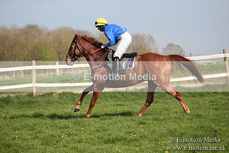 PtP 210418 473 - South & West Wilts Point-to-Point Larkhill 21/04/18
