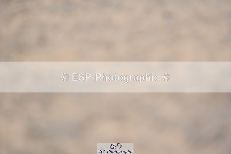 230811-101641-00234 - Cls 3 Adv Medium Bronze Start to 10.25 break