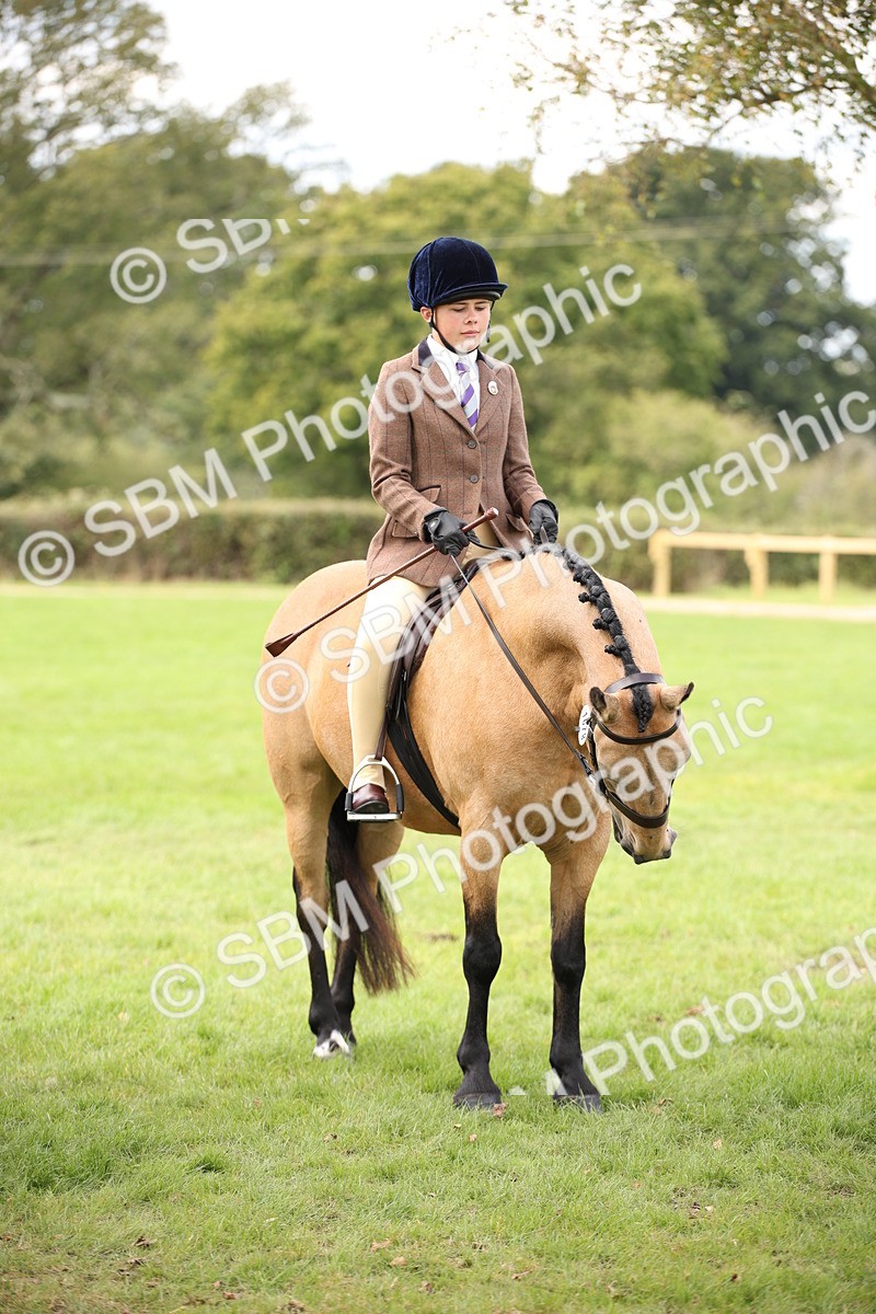 SBM_42380 - S13 - Pony Club Pony