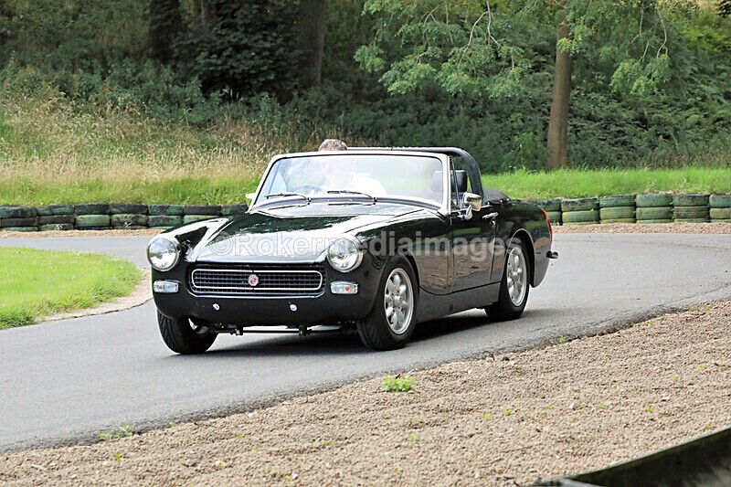 Pete Wilson 2-8-20-89 - Aug 2nd 2020 Drive thru