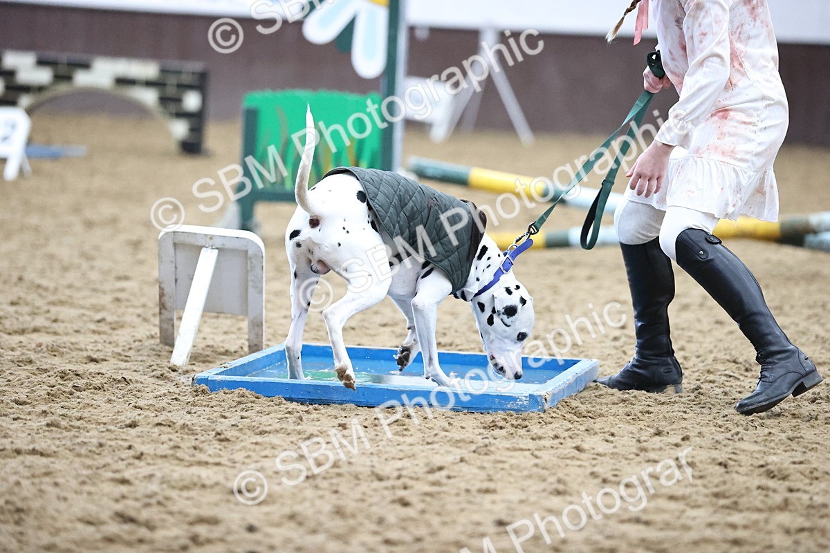 SBM_001495 - Class 3 - Horse & Hound 60cm