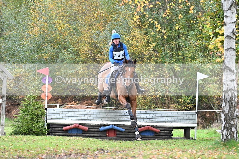 WJ7_3809 - 90cm Cam 2 Water Time 14:09 to 14:30