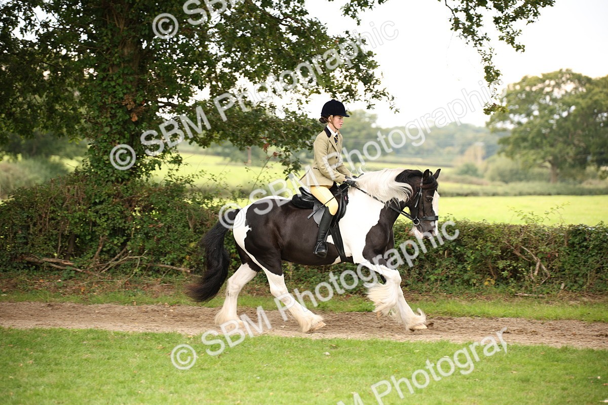 SBM_73445 - S68 - Traditional Cob Ridden