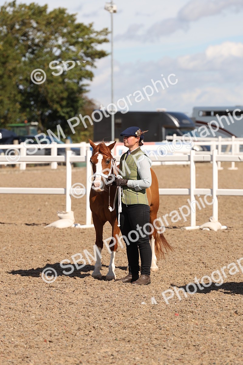 SBM_14096 - Class 207 - IH M&M