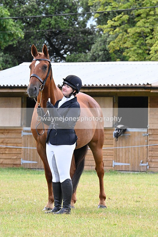 WJ7_7200 - Class 5a Most Handsome Gelding in Hand