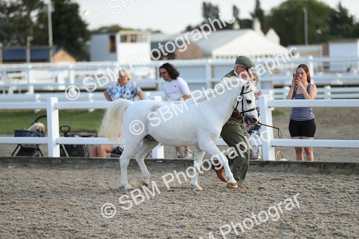 SBM_08917 - Class 29 IH Veteran Pony