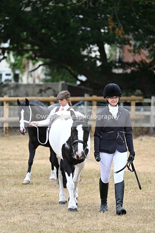 WJ7_8070 - Class 4 Prettiest Mare up to 14.2hh