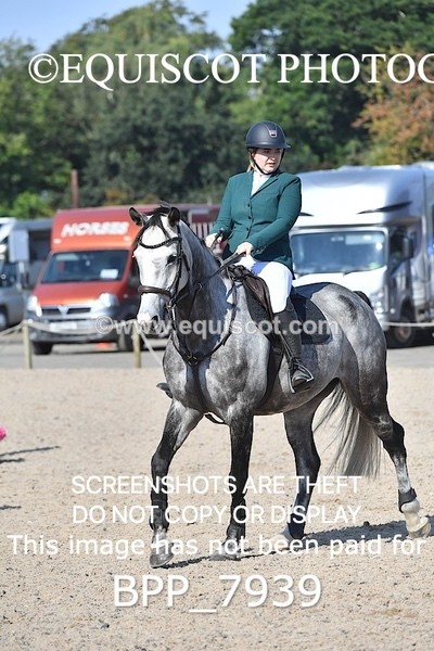 BPP_7939 - CLASS 3 Senior BritiNovice/ 90cm Open